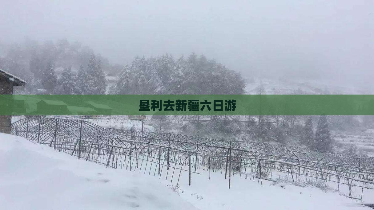 垦利去新疆六日游