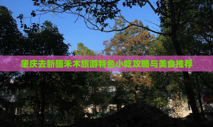 肇庆去新疆禾木旅游特色小吃攻略与美食推荐