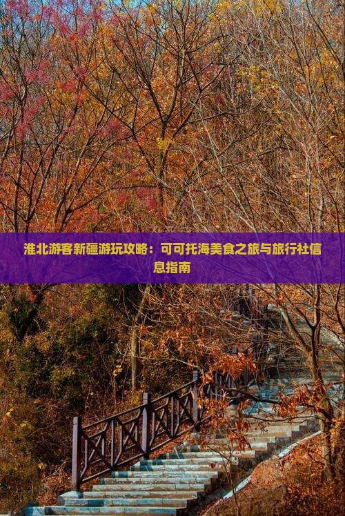 淮北游客新疆游玩攻略：可可托海美食之旅与旅行社信息指南