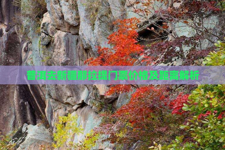 普洱去新疆那拉提门票价格及距离解析