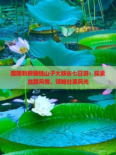 醴陵到新疆独山子大峡谷七日游：探索丝路风情，领略壮美风光