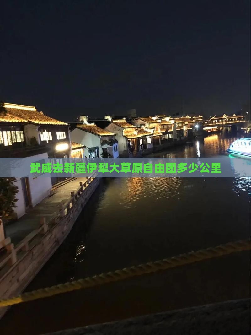 武威去新疆伊犁大草原自由团多少公里