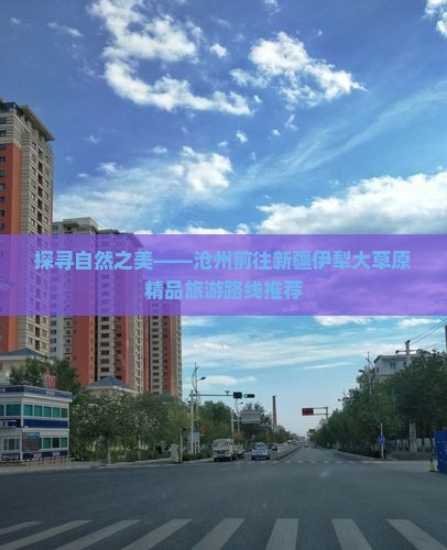 探寻自然之美——沧州前往新疆伊犁大草原精品旅游路线推荐