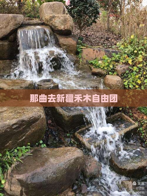 那曲去新疆禾木自由团