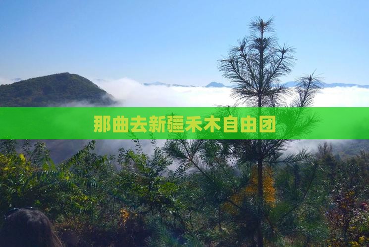 那曲去新疆禾木自由团