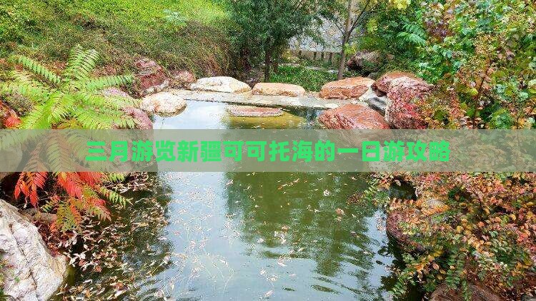 三月游览新疆可可托海的一日游攻略