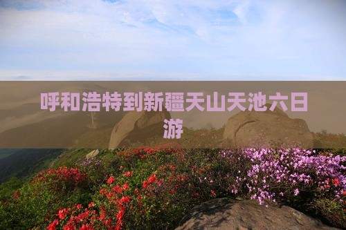 呼和浩特到新疆天山天池六日游