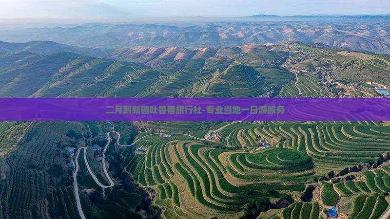 二月到新疆吐鲁番旅行社-专业当地一日游服务