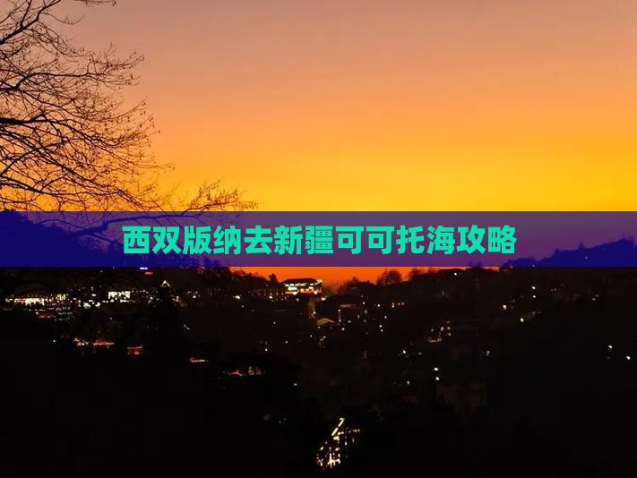 西双版纳去新疆可可托海攻略