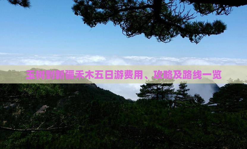 玉树到新疆禾木五日游费用、攻略及路线一览
