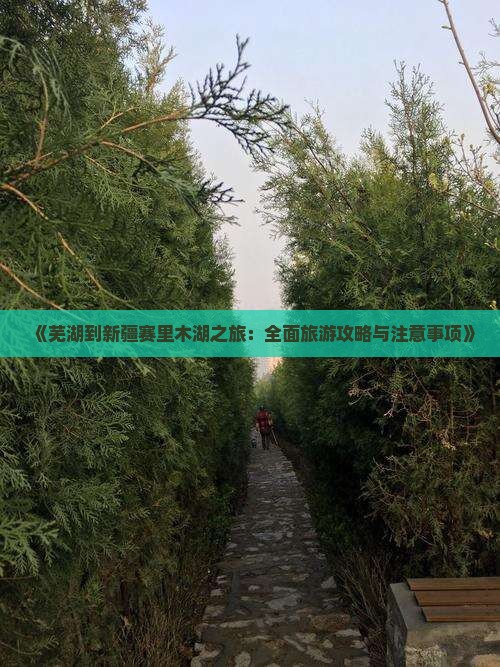 《芜湖到新疆赛里木湖之旅：全面旅游攻略与注意事项》