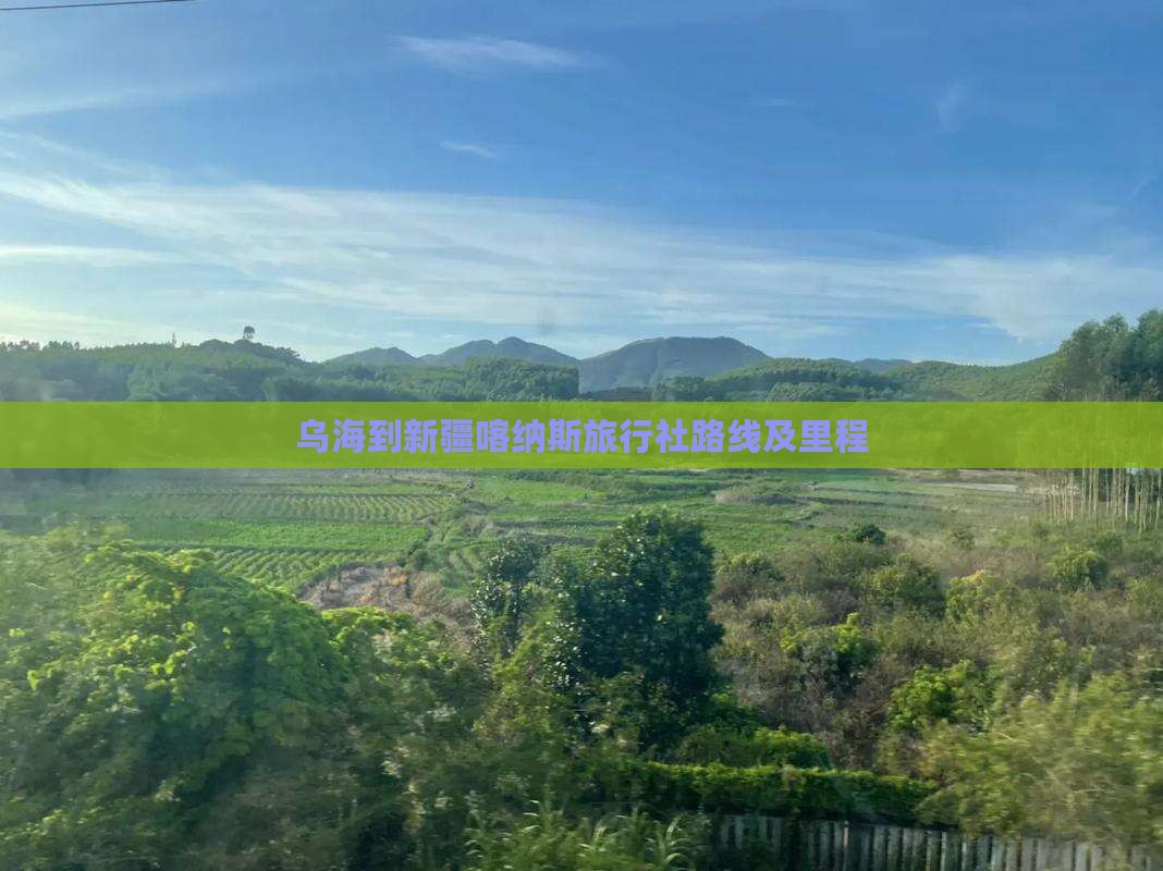 乌海到新疆喀纳斯旅行社路线及里程