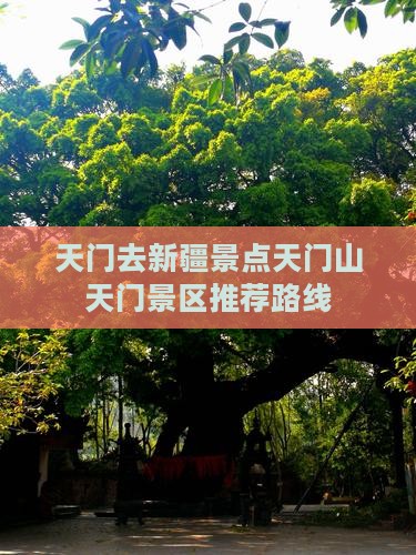 天门去新疆景点天门山天门景区推荐路线