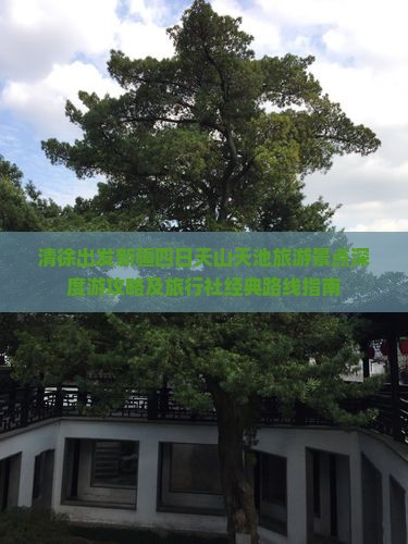 清徐出发新疆四日天山天池旅游景点深度游攻略及旅行社经典路线指南