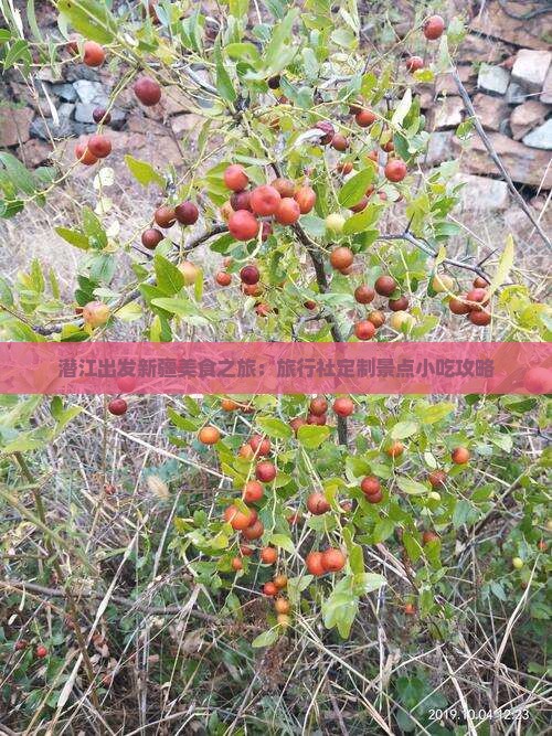 潜江出发新疆美食之旅：旅行社定制景点小吃攻略
