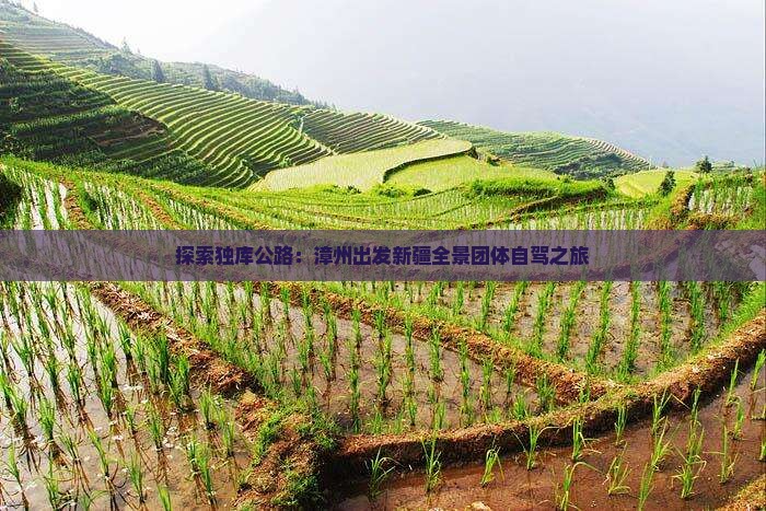 探索独库公路：漳州出发新疆全景团体自驾之旅
