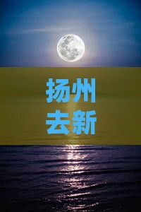 扬州去新疆伊犁大草原大型旅游团多少公里