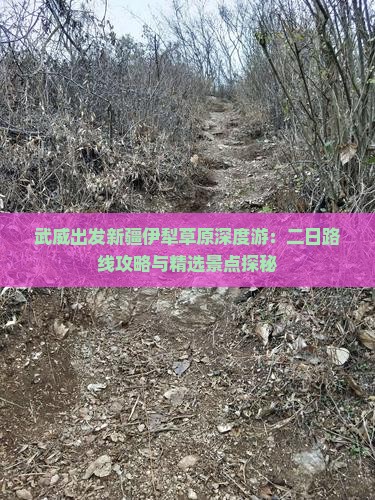 武威出发新疆伊犁草原深度游：二日路线攻略与精选景点探秘