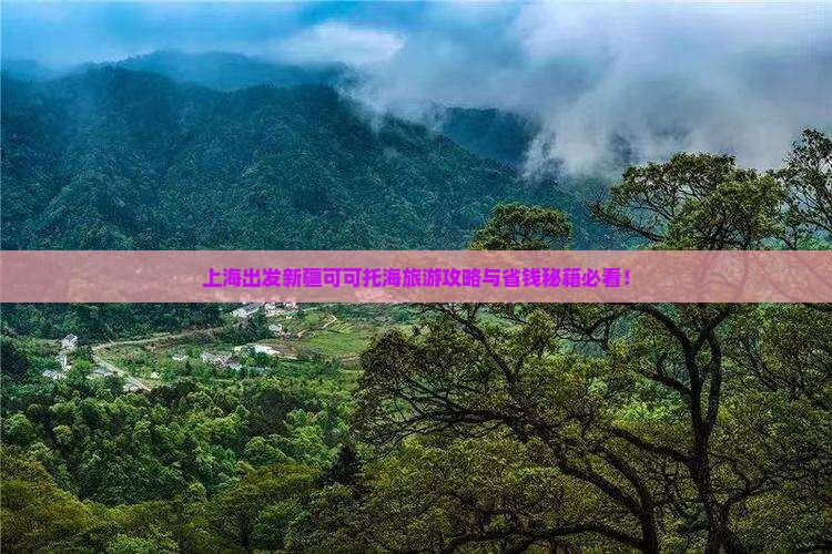 上海到新疆可可托海个人游