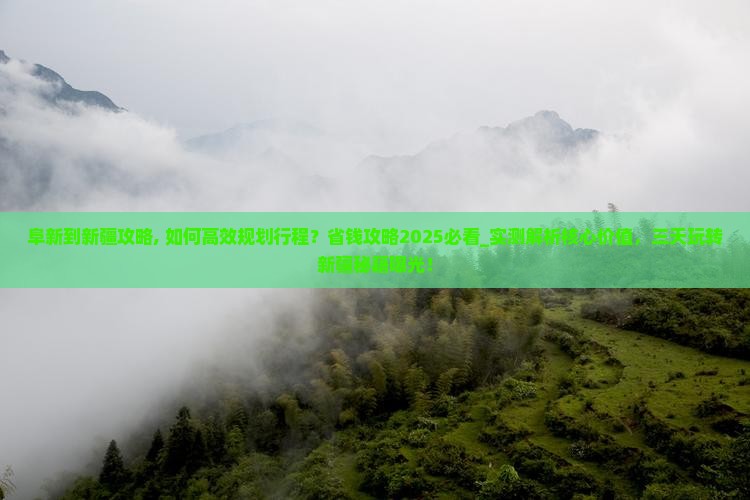 阜新到新疆攻略