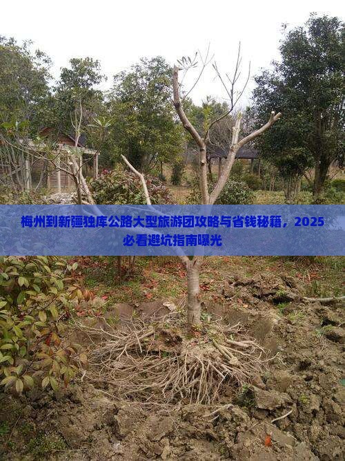梅州到新疆独库公路大型旅游团