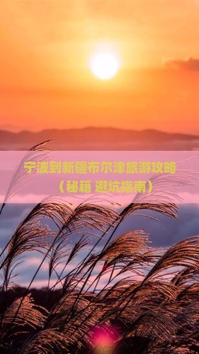 宁波到新疆布尔津自由团