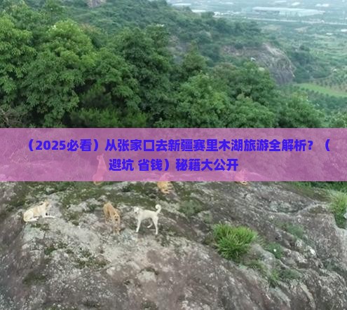 张家口去新疆赛里木湖旅游