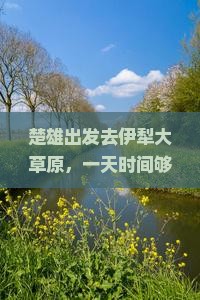 楚雄到新疆伊犁大草原一日
