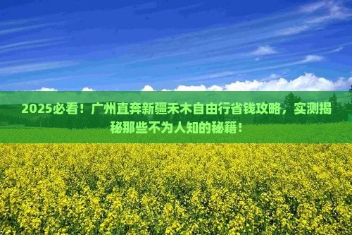 广州去新疆禾木自由行