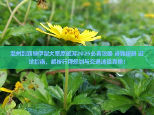 温州到新疆伊犁大草原旅游