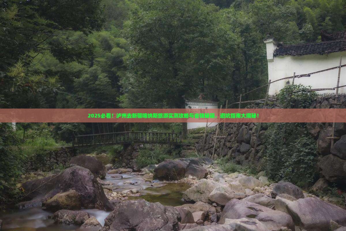 泸州去新疆喀纳斯旅游