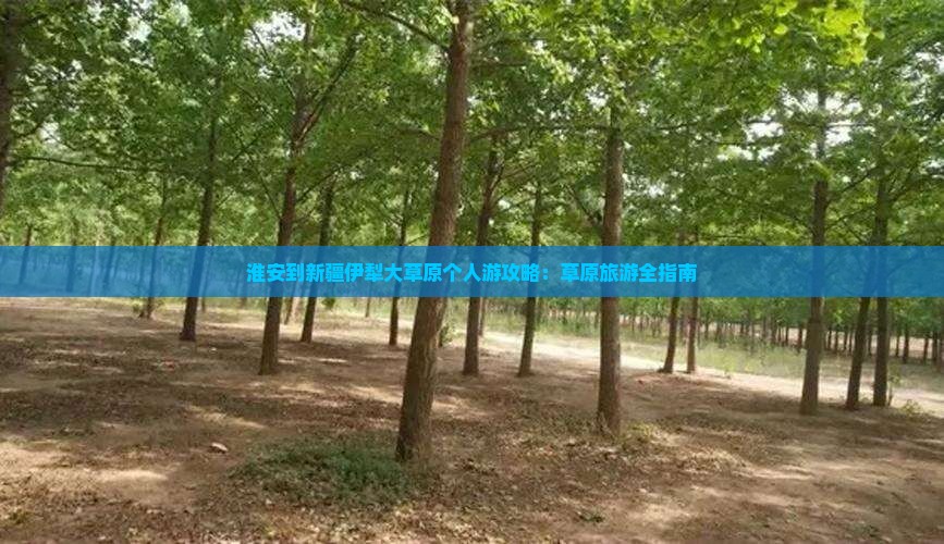 淮安到新疆伊犁大草原个人游