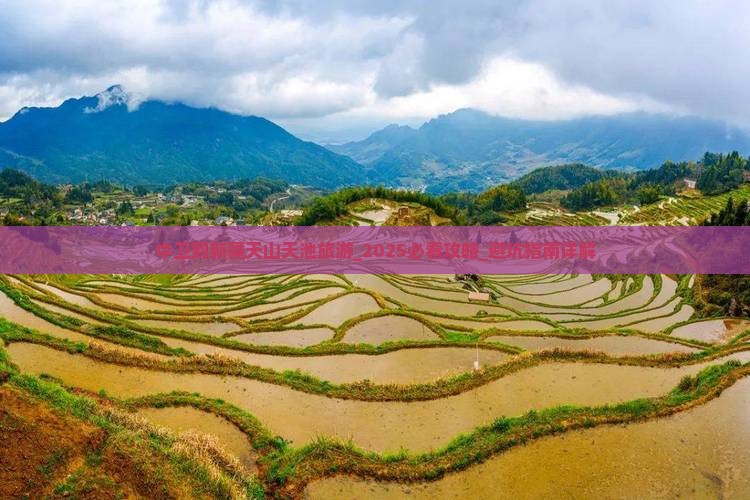中卫到新疆天山天池旅游