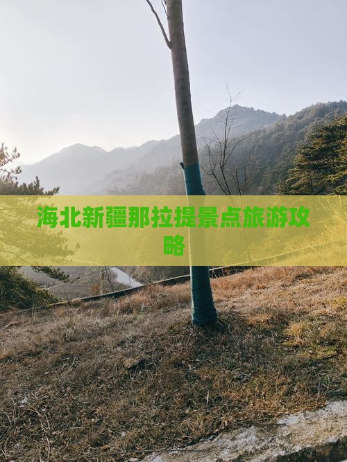 海北去新疆那拉提景点