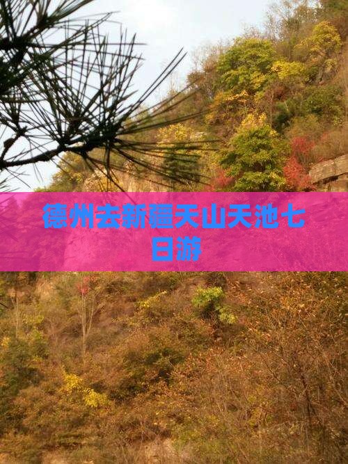 德州去新疆天山天池七日游