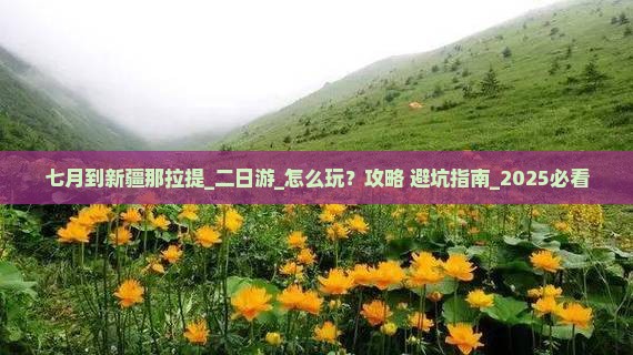七月到新疆那拉提二日游