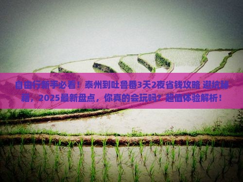 泰州到新疆吐鲁番自由行