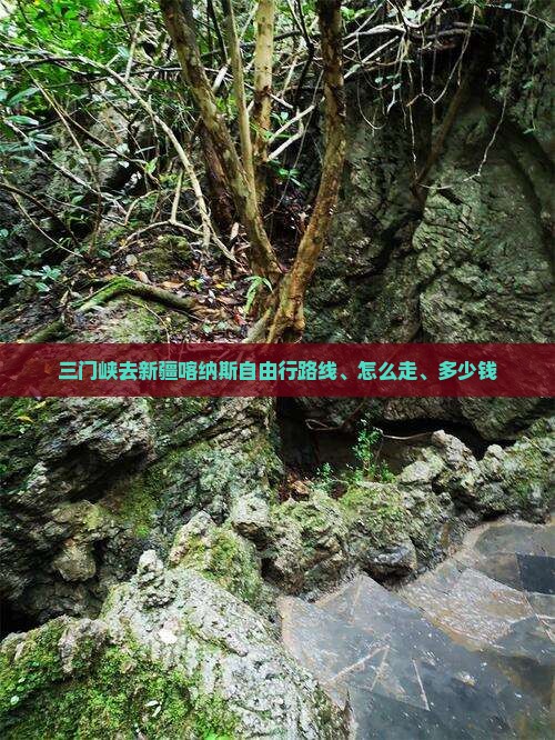 三门峡去新疆喀纳斯自由行