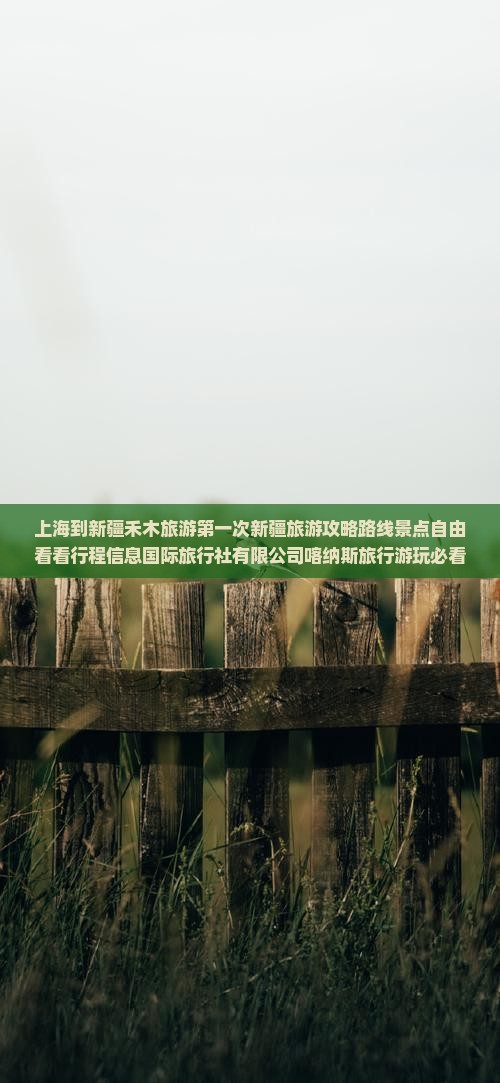 上海到新疆禾木旅游