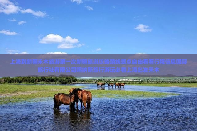 上海到新疆禾木旅游