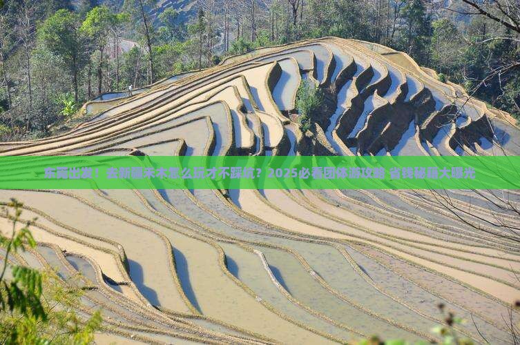 东莞到新疆禾木团体旅游