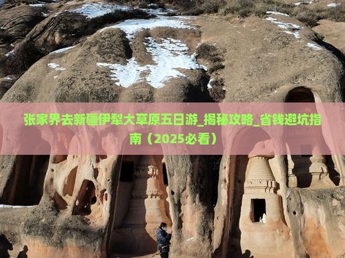 张家界去新疆伊犁大草原五日游