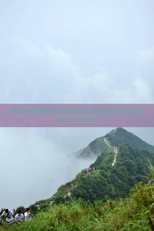 张家界去新疆伊犁大草原五日游