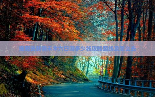 揭阳去新疆禾木六日游
