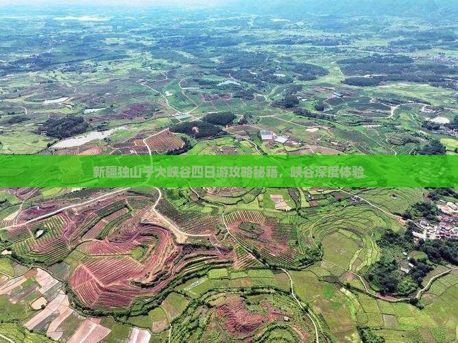 菏泽去新疆独山子大峡谷四日游