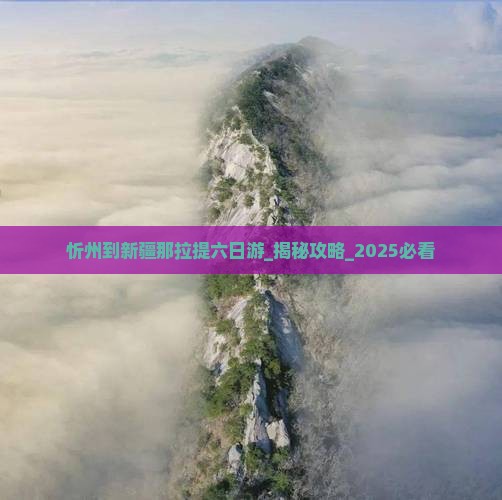 忻州到新疆那拉提六日游