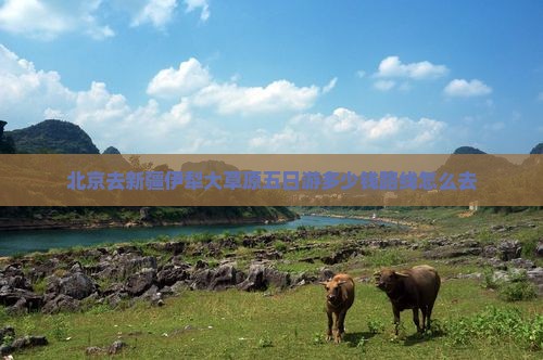 北京去新疆伊犁大草原五日游