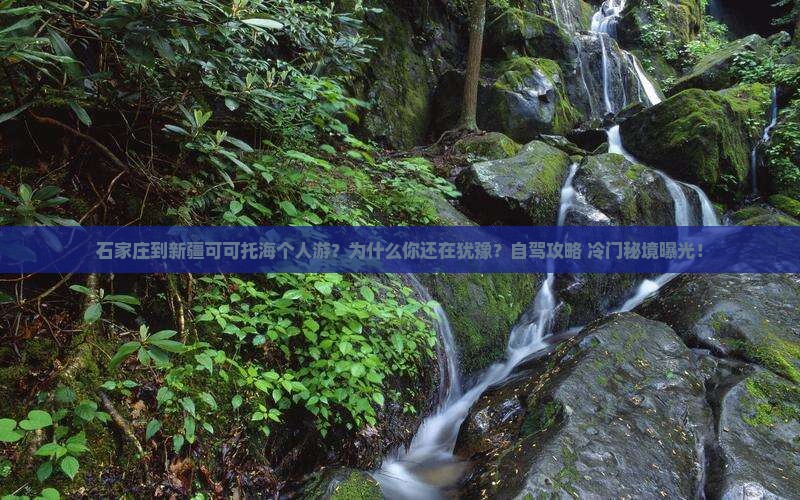 石家庄到新疆可可托海个人游