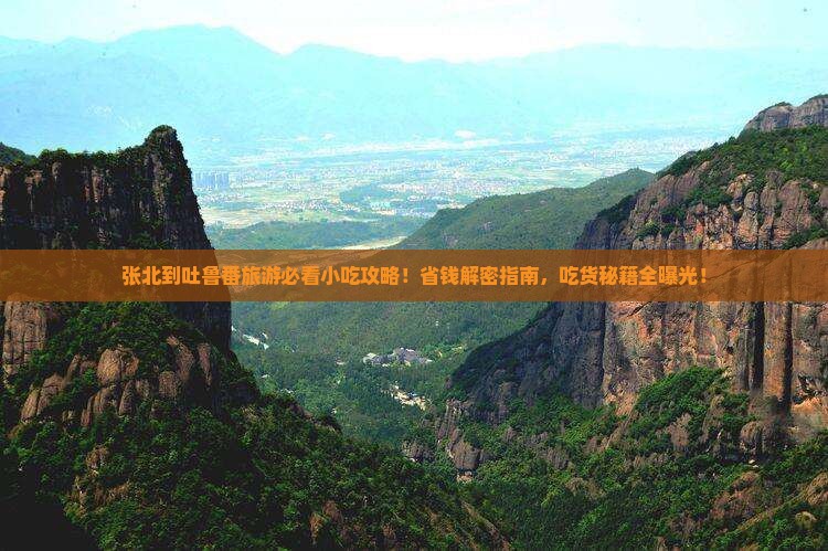 张北到新疆吐鲁番旅游小吃
