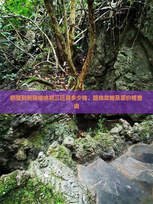 鹤壁到新疆喀纳斯三日游